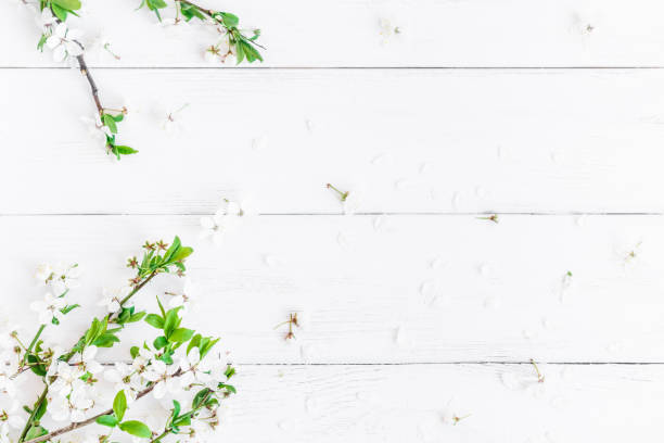 istock Spring flowers. Apple flowers on white wooden background 643757624