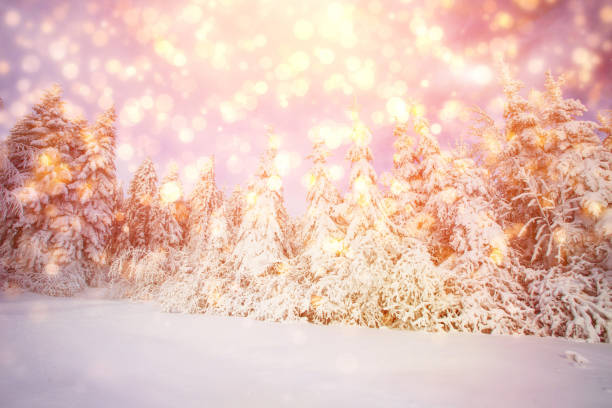 istock winter landscape trees snowbound, bokeh background with snowflak 643757634