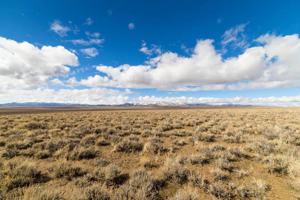 istock Wide open empty desert landscape in Nevada during winter with blue skies and clouds.  Mountains in the distance. 643760454