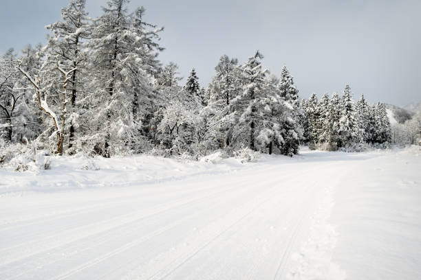 istock Early morning in Myoko, Japan 643764092