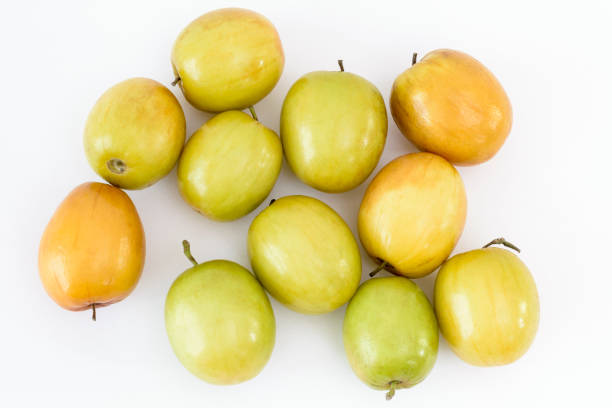 Indian plum or jujube (Ziziphus mauritiana) fruits on a white background