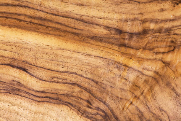istock nature wood background, stock image oak 643785182
