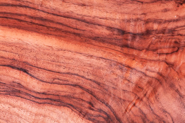 istock nature wood background, stock image oak 643785450