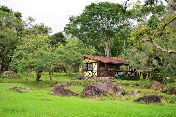 uma casa de campo - casa de campo - fotografias e filmes do acervo