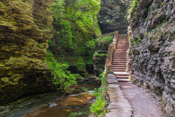 Stairway to Heaven This photo was taken at Watkins Glen State Park. This is the gorge trail leading to the Cavern Cascade waterfall. state park stock pictures, royalty-free photos & images