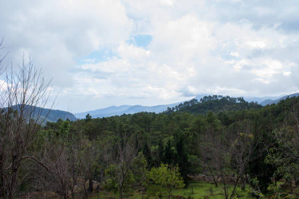 istock Standing on top of mountain to see this landscape view 643810592