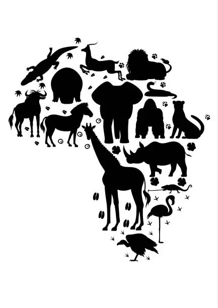 Vector illustration of African animal silhouette set