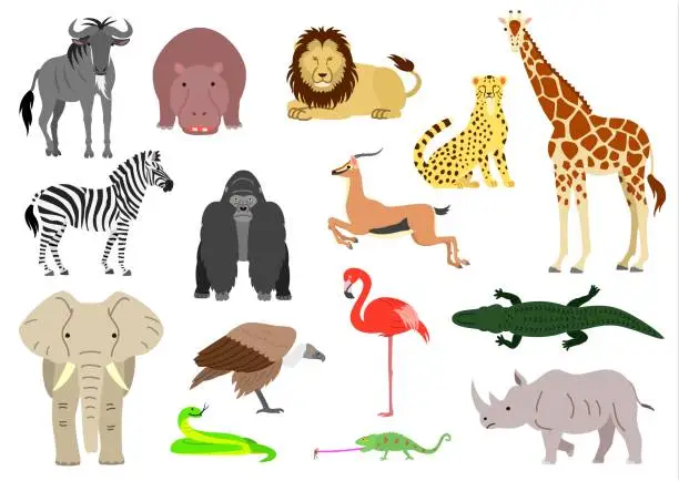 Vector illustration of African animal element set