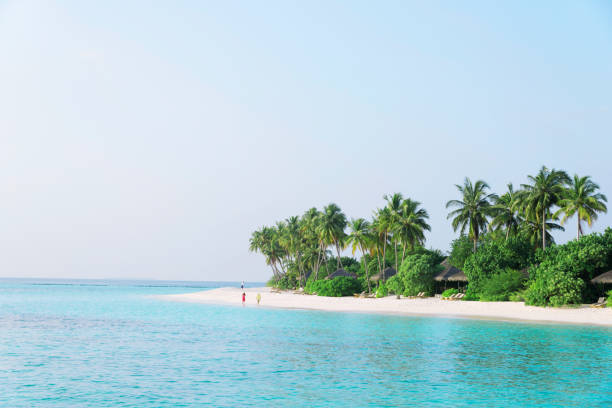 istock beautiful tranquil beach in blue sunny sky 643816584