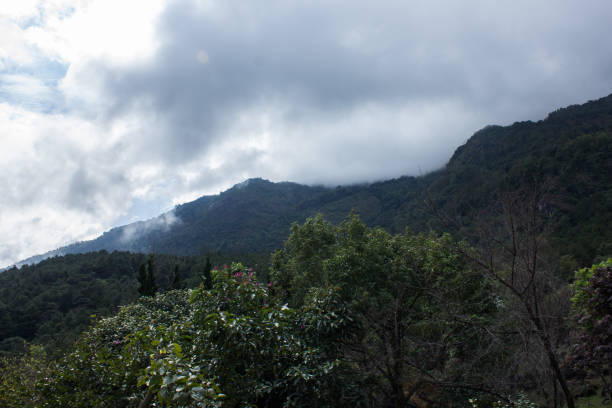 istock Standing on top of mountain to see this landscape view 643816866