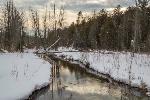 istock Winter landscape of river, trees, snow and reflections 643821004