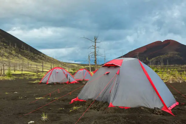 Photo of Tourist tent in Dead wood - consequence of catastrophic release of ash during the eruption of volcano in 1975 Tolbachik