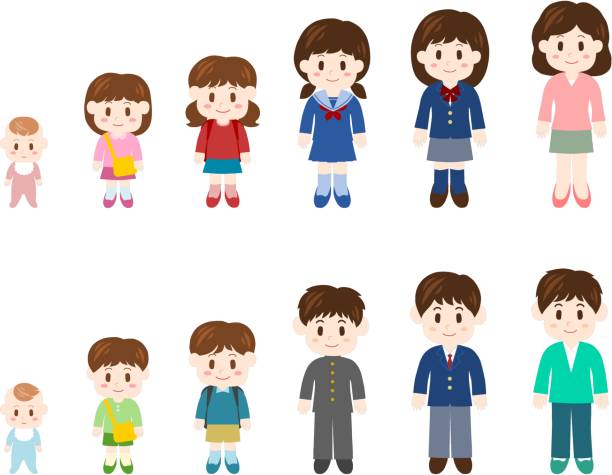 Children grow up Illustration of Children grow up age diversity stock illustrations