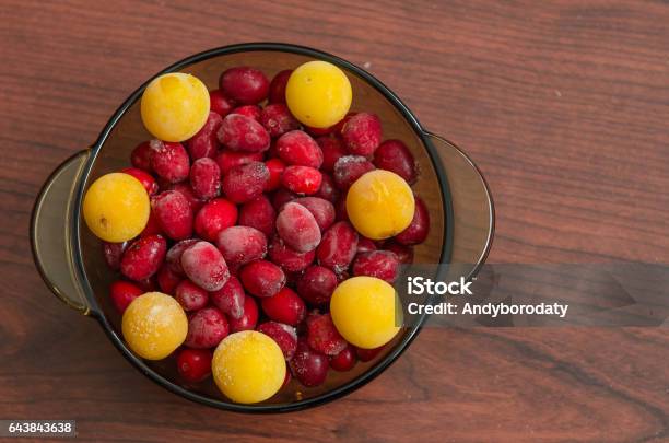 Dish With Frozen Cherry Plum And Dogwood Stock Photo - Download Image Now - Autumn, Backgrounds, Beauty In Nature