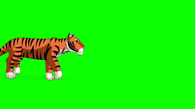 tiger walks on green screen Free Stock Video Footage Download Clips tiger