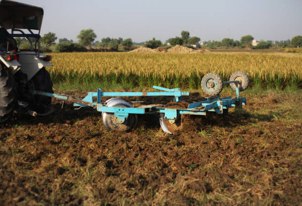 Tractor and harrow plowing field in the evening time.