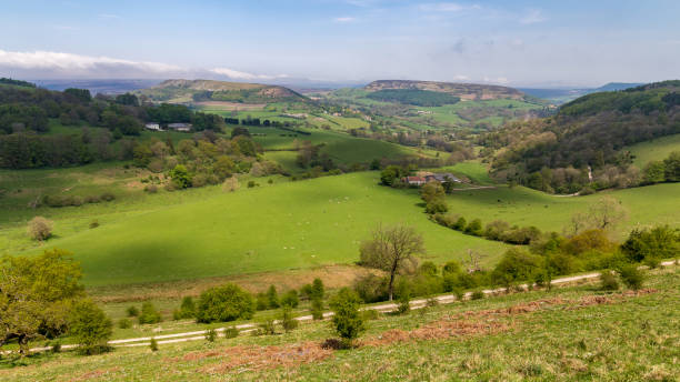 istock Landscape in the North Yorks Moors, UK 643856696