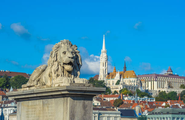 istock Lion sculptures of the Chain Bridge, Budapest, Hungary 643859340