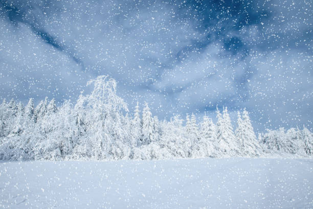 istock Dramatic wintry scene. Carpathian, Ukraine, Europe. Bokeh light 643859690