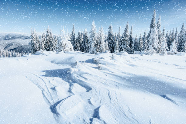 istock Fantastic winter landscape and tree in hoarfrost. In anticipatio 643860200