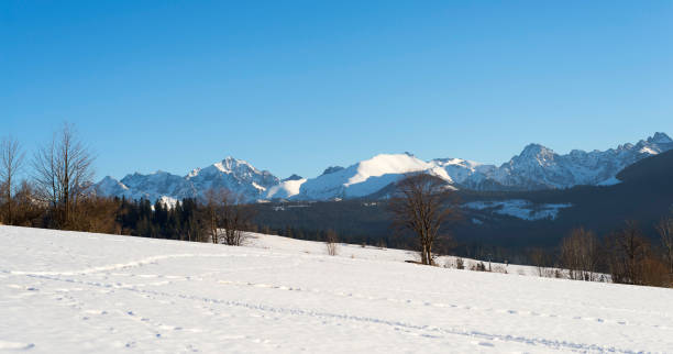 istock Beautiful landscape in Tatra mountains 643864094