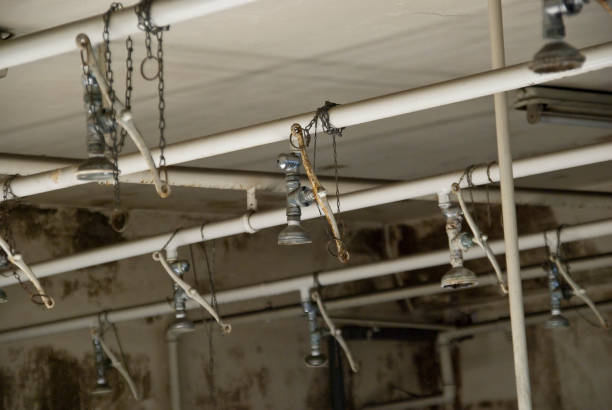 istock Scene in an abandonded industrial Building 643864996