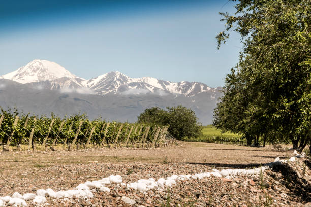 beau printemps à vignobles - snowcapped mountain mountain range snow photos et images de collection