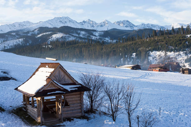 istock Beautiful landscape in Tatra mountains 643867354