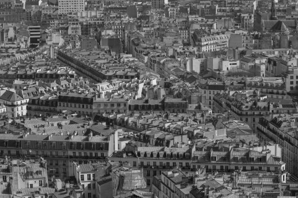 istock Roofs of Paris 643867572