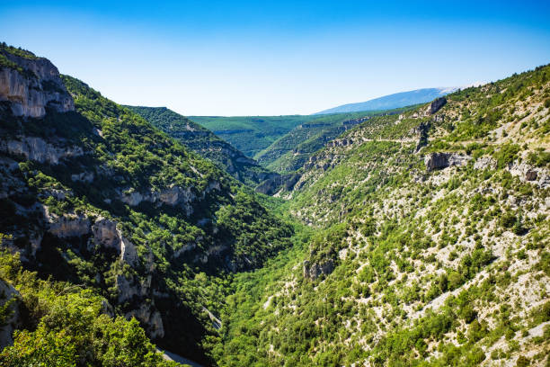 istock Rocky canyon with trees and blue sky 643871150