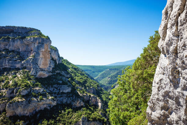 istock Rocky canyon with trees and blue sky 643871320