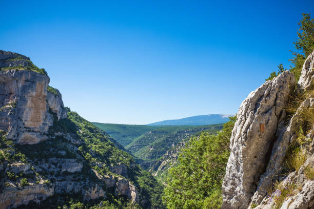 istock Rocky canyon with trees and blue sky 643871404