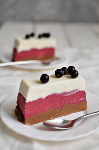 istock Ice cream cake with blackcurrant and chocolate 643871854