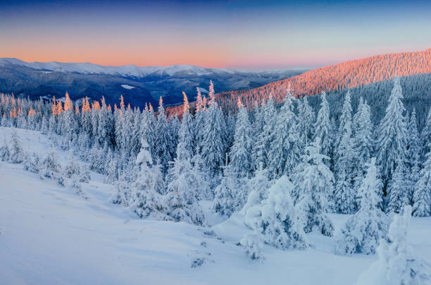 istock Fantastic winter landscape in the mountains. Magical sunset in a 643872094