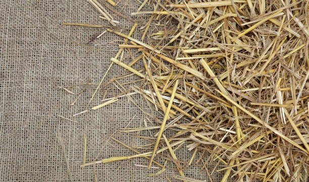 istock Rural background with jute fabric and straw barn 643875616