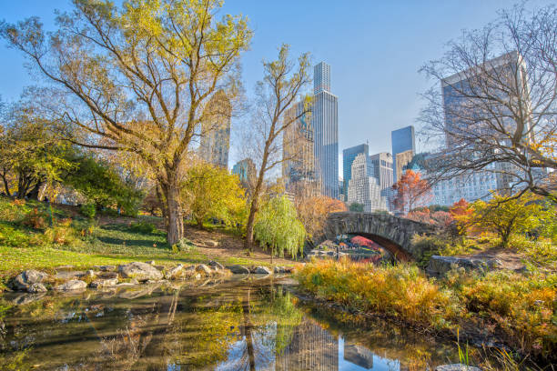 istock Gapstow Bridge in Central Park 643875638
