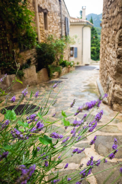 istock Mediterranean rural alleyway with lavender plant 643881654