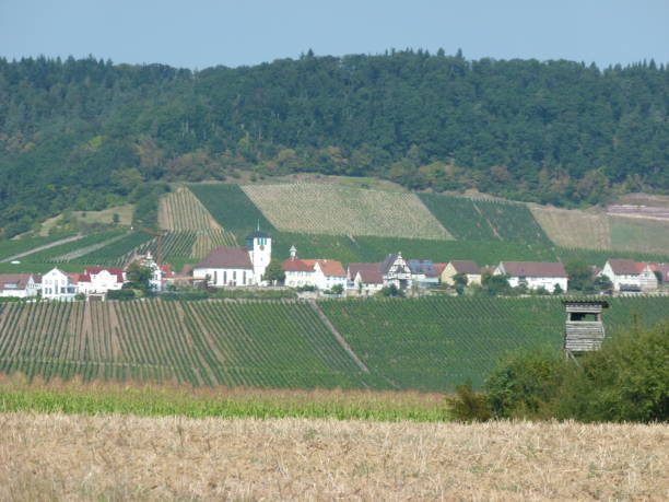 istock Village in the Stromberg 643881760