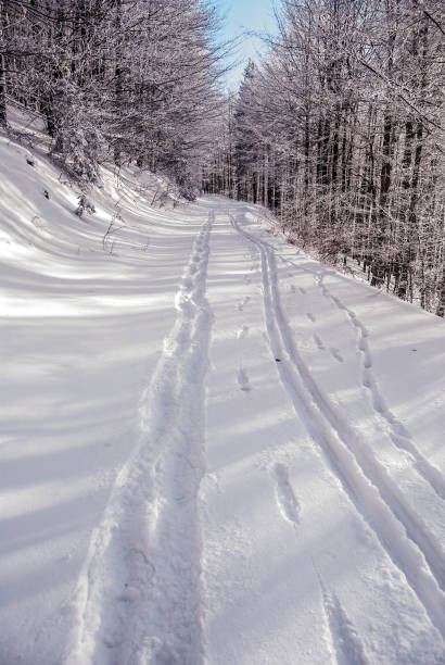 istock winter hiking trail with snow and trees 643882238