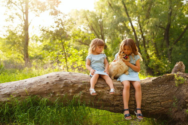 istock Little girl hugging Spitz 643897526