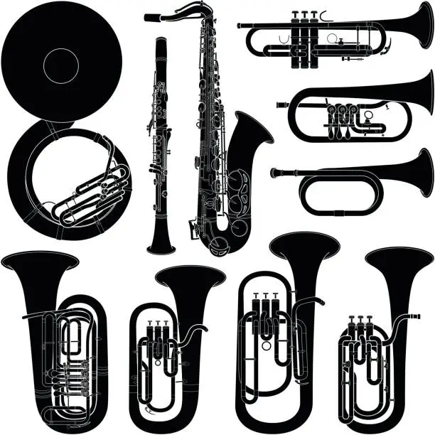 Vector illustration of Musical instrument collection - vector silhouette illustration
