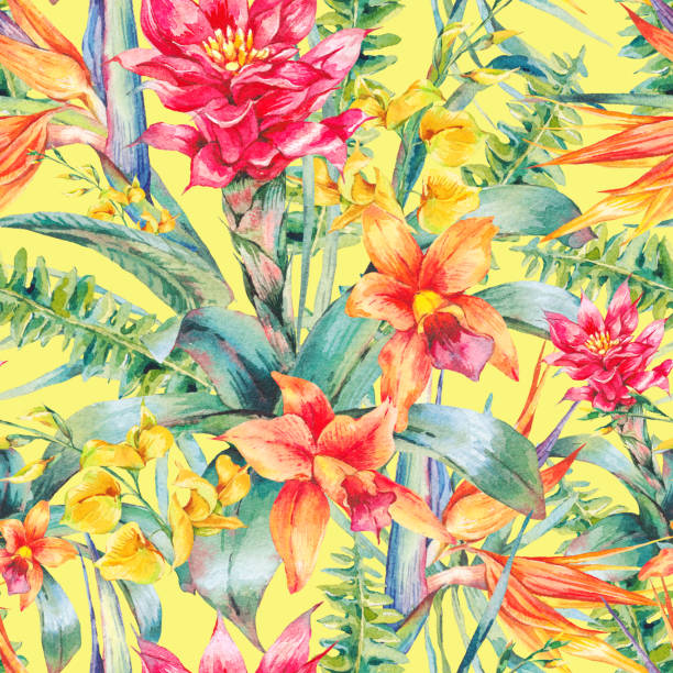 illustrazioni stock, clip art, cartoni animati e icone di tendenza di acquerello vintage floreale tropicale senza cuciture modello - hawaiian culture hibiscus print pattern