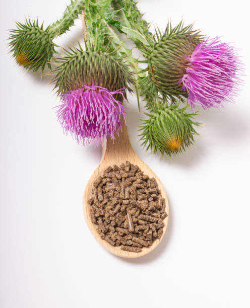 istock Granular and fresh thistle with flowers. (Silybum marianum) 643927692