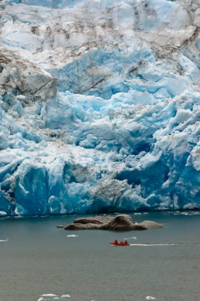 Ship Launch and Glacier Three person ship launch sailing along the base of Iceberg Glacier.  View from the ship Oceania Regatta at the head of Tempanos Fjord, Bernardo o'Higgins National Park, Chile. michael stephen wills south america stock pictures, royalty-free photos & images