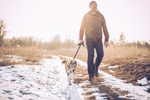 Mature men walking with his dog on snow covered field. Sunny winter day.