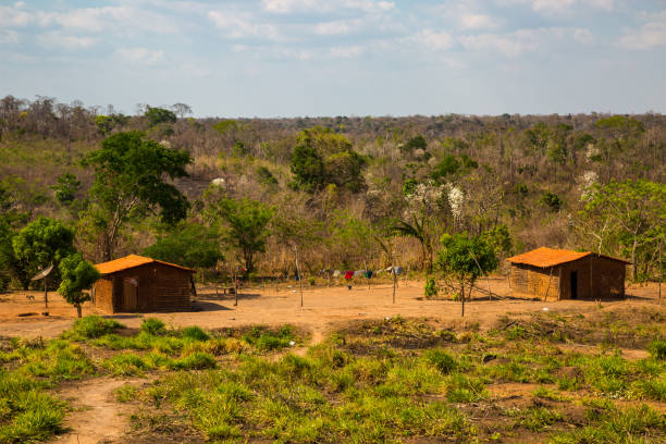 istock Landscape in Tocantins, Brazil 643941568