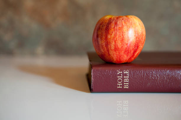 istock Bible is laying on the table and apple put on it with brown background 643942038