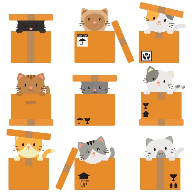 ilustrações de stock, clip art, desenhos animados e ícones de kitty inside boxes / packages - cat box