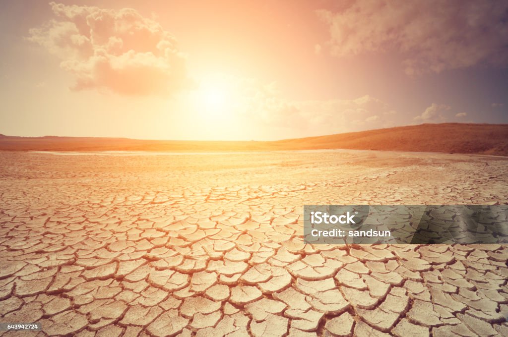 Desierto  - Foto de stock de Calor libre de derechos