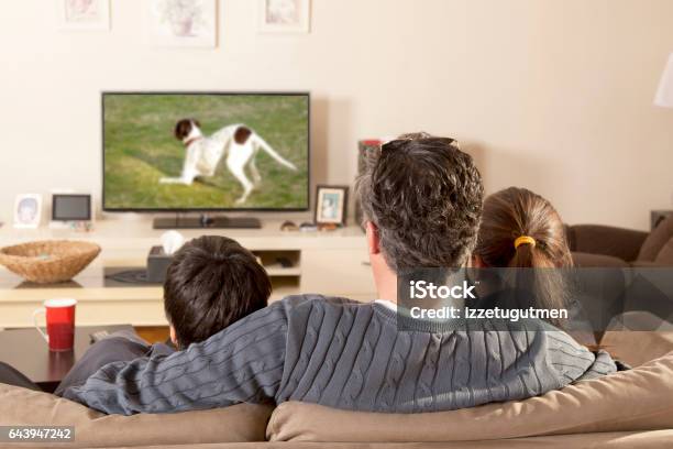 テレビを見ている家族 - テレビを見るのストックフォトや画像を多数ご用意 - テレビを見る, テレビ放送, 注視する